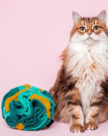 Kula węchowa, Smakula na przysmaki dla psa i kota TROPIKALNY PORANEK, THE MISS CAT