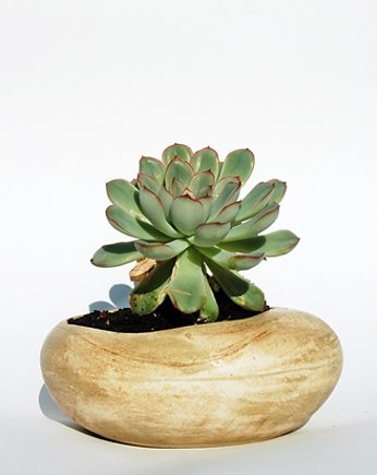 Doniczka Kamień piaskowa, Ceramiczności
