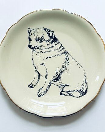Perełka  pies osiedlowy, arent plates