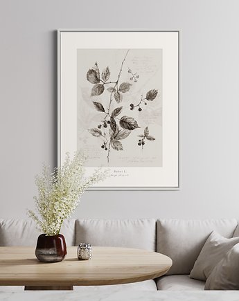 Plakat Jeżyny 30x40 cm, Margo Hupert