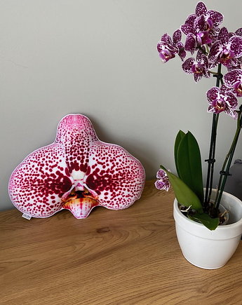 Poduszka Mały Storczyk Orchidea Phalaenopsis, poduszkownia
