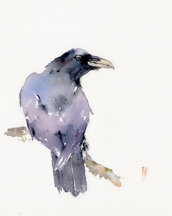 Oryginalna akwarela. Kruk, alquadro
