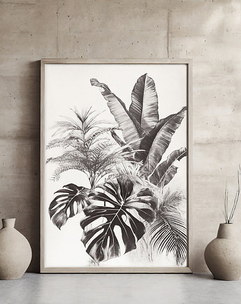 Plakat monstera, ArchiBotanica