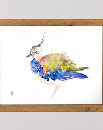 Oryginalna akwarela. Czajka, alquadro