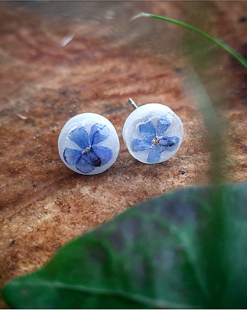 Kolczyki sztyfty z niezapominajkami, białe, Figa handmade accessories
