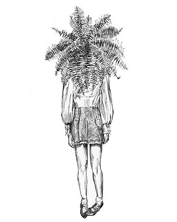 Paproć. Ilustracja tuszem i akwarelą., About Face Illustration