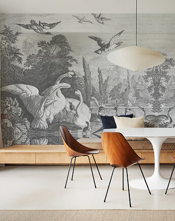 Tapeta Black swans, wallcolors