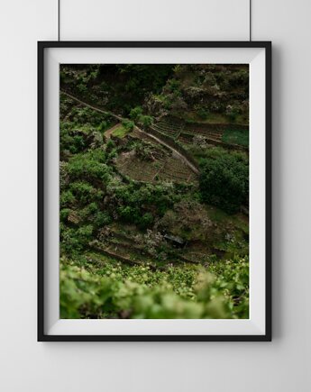Tarasy uprawne, Madera, plakat, fotografia, plik cyfrowy, Katarzyna Angielska
