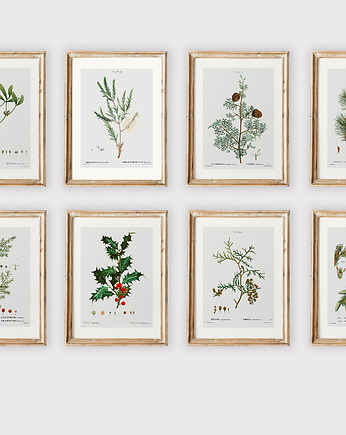 Zestaw 8 plakatów botanicznych, OSOBY - Prezent dla teścia