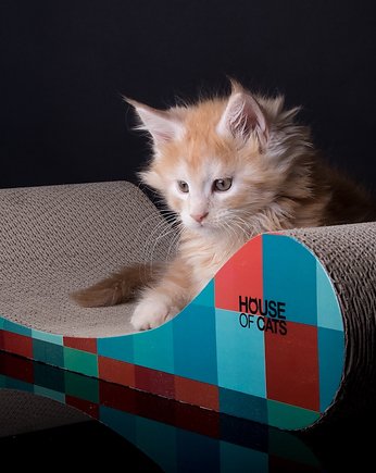 Drapak dla kota legowisko "Sofa Cube", House of Cats