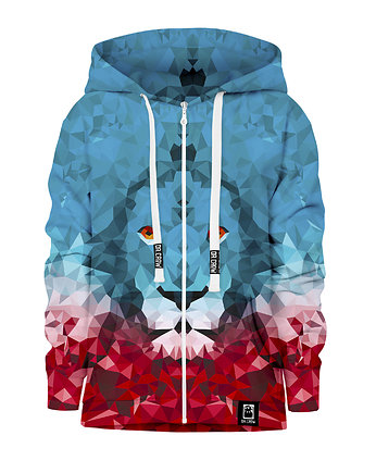 Bluza Zamek Chłopiec DR.CROW Lew Trójkąt, DrCrow