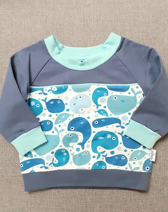 Bluza dresowa dla chłopca w wieloryby rozm.74, NinoDreams