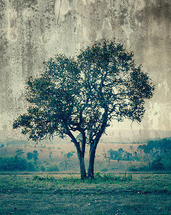 Drzewo - DEKORACJA ŚCIENNA, Dekoracje PATKA Patrycja Kita