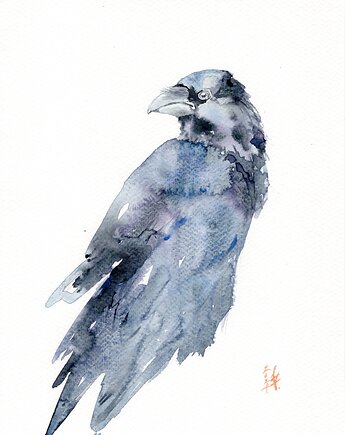 Oryginalna akwarela. Kruk, alquadro