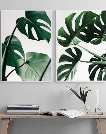 DWA PLAKATY galeria botaniczne monstera, black dot studio
