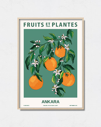 Plakat botaniczny "Ankara", Pas De LArt