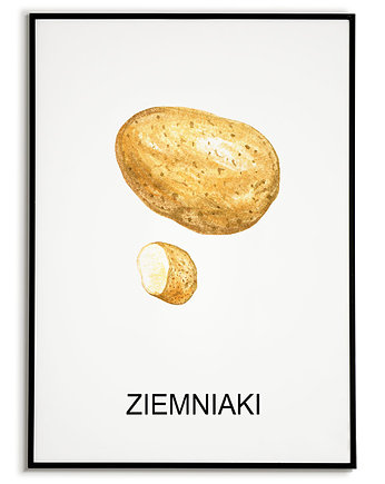 Plakat  GRAFIKA ZIEMNIAKI warzywa obraz ZIOŁA, Bajkowe Obrazki