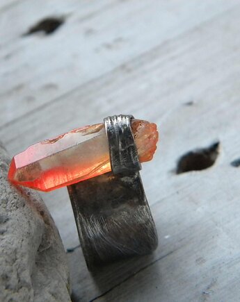 Zamówienie Pana Mateusza, Beata Trotter