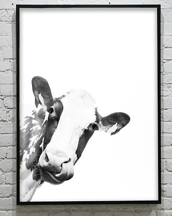 KRÓWKA- poster, KOKO by HOKO
