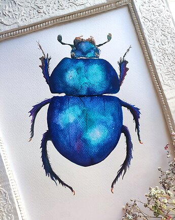 Akwarela żuk, Wiktoria Borys Art