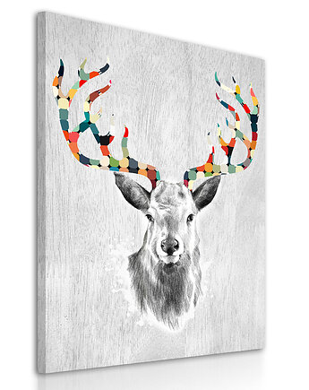 Obraz na płótnie Kolorowe poroże60x80cm, NOWdeco