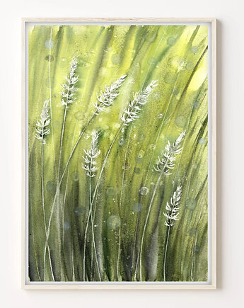 Oryginalna akwarela. Trawy A4, Malgorzata Domanska