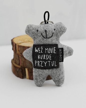 Miś Zdziś, anaci