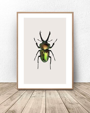 Plakat na ścianę z zielonym żukiem 30x40 (300mm x 400mm), scandiposter