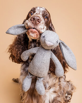 Pluszowa zabawka dla psa królik RUPERT, Lillabel Pet Brand