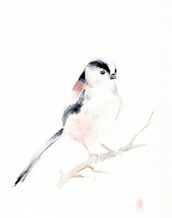 Oryginalna akwarela. Raniuszek, alquadro