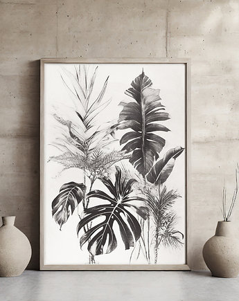 Plakat monstera, ArchiBotanica