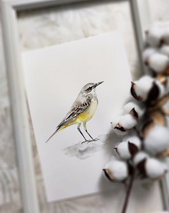 Akwarela pliszka żłóta, Wiktoria Borys Art