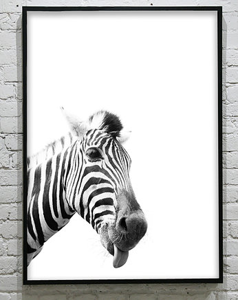 ZEBRA- poster, KOKO by HOKO
