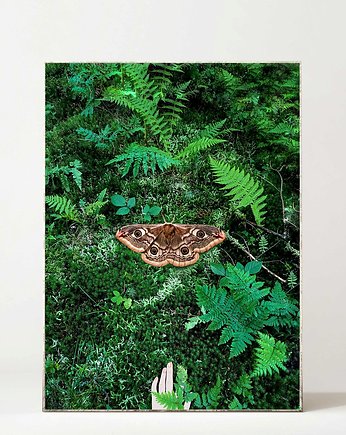 Plakat W lesie , Regina Land Atelier