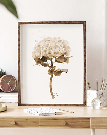 Hortensja sepia, grafika, akwarela, Urszula Steczkiewicz