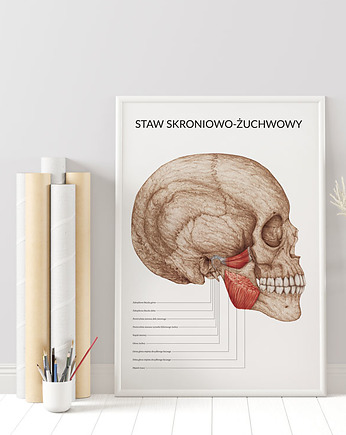 Plakat Staw Skroniowo-Żuchwowy, Marta Pawelec Medical Art