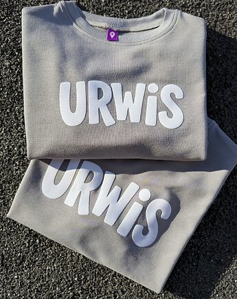 Bluza dziecięca URWIS - szara, Wear Your Journey