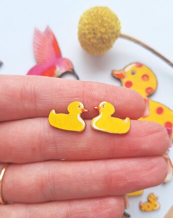 Kaczki malowane, DWUKROOPEK