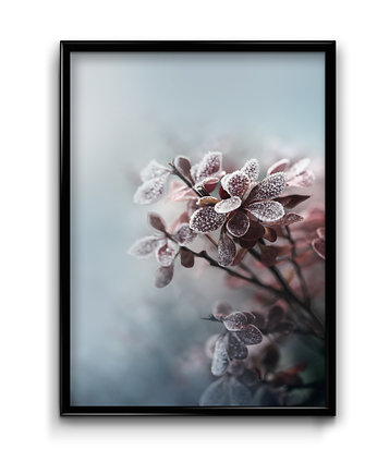 Plakat Przyroda Zimą No.2, Bury Lis