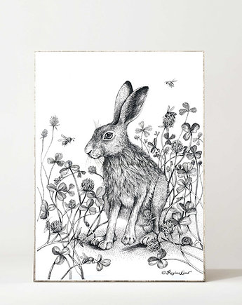 Zając w koniczynie, Regina Land Atelier