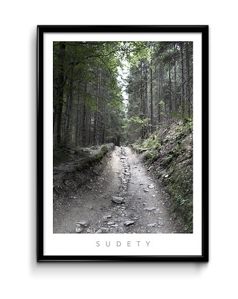 Plakat Sudety No.1, Bury Lis
