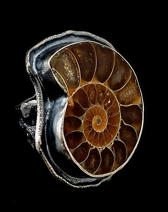 Pradawny amonit, Pracownia Neores