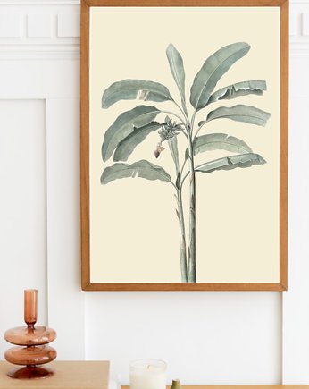 PLAKAT BOTANICZNY  ROŚLINA ilustracja, black dot studio