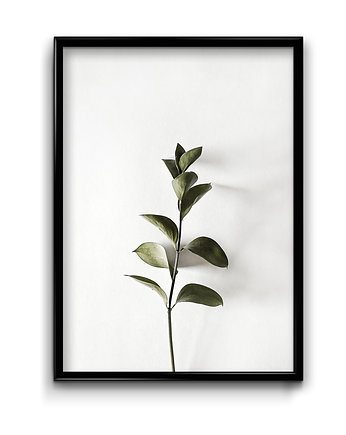 Plakat Floral No.8 , Bury Lis