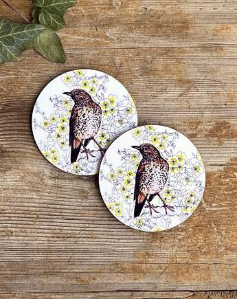Podkładki pod kubek- Drozd śpiewak - Ilustracja, BOSKE