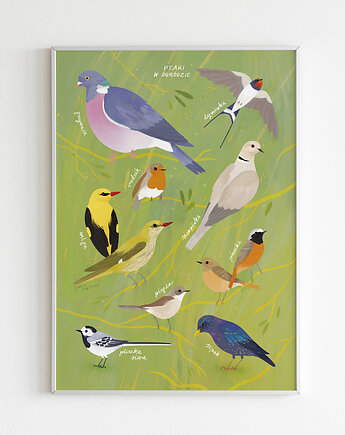 Plakat B2/A3 PTAKI W OGRODZIE, Emilia Skwarska