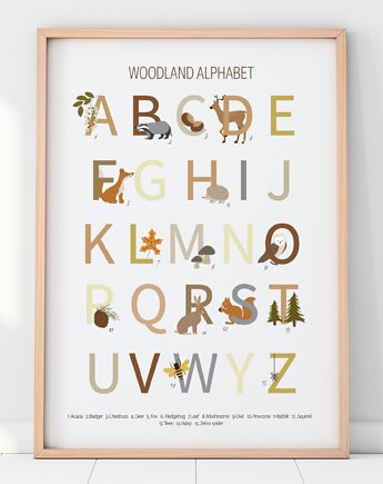 Woodland Alphabet ENG - Leśny plakat edykacyjny Las Alfabet, happykidsprints