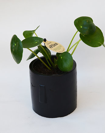 Niebieski Loft sklep