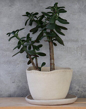 Doniczka ceramiczna, Otuliny Ceramika dla roślin