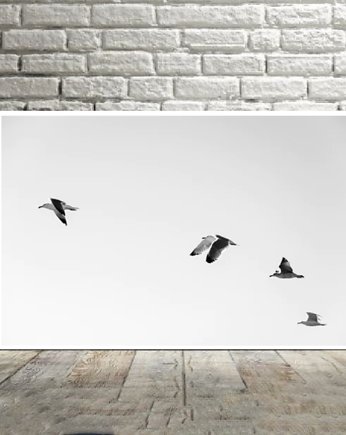 PLAKAT czarno biały PTAKI, black dot studio